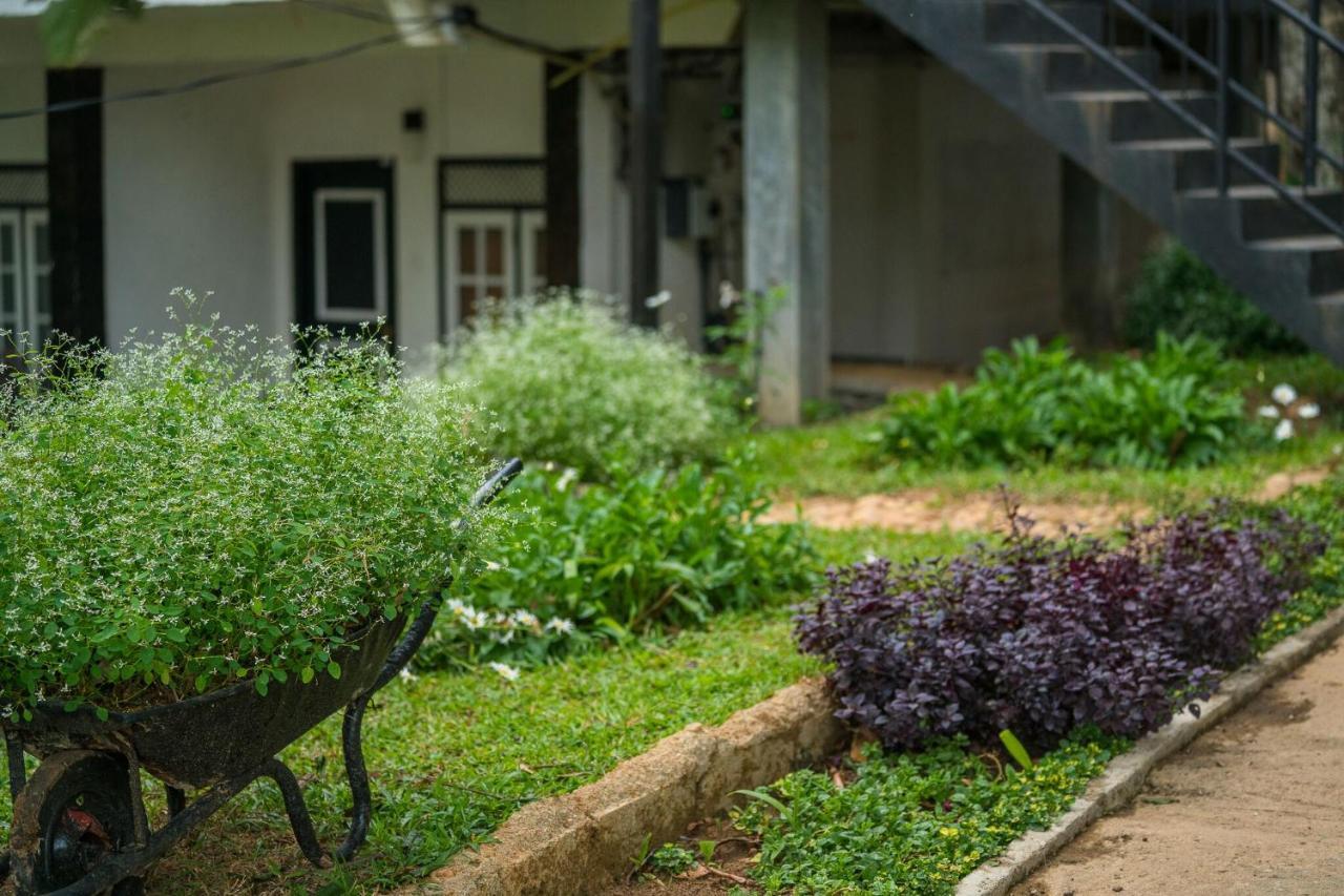 Ella Forest Paradise Hotel Экстерьер фото
